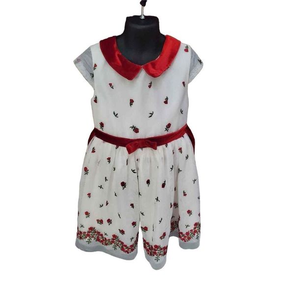 WONDER NATION GIRLS FANCY DRESS - Picture 1 of 5